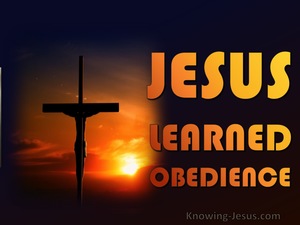 Hebrews 5:8